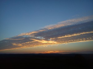 DSC00306