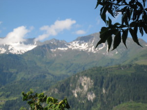 IMG_1830
