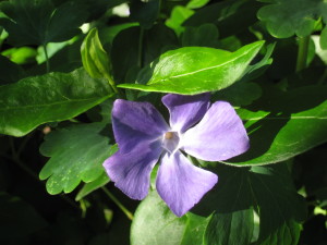 Bild 036