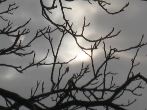 IMG_3228