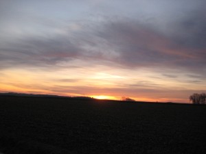 IMG_3296