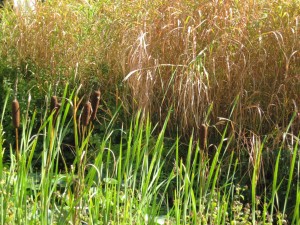 IMG_3841